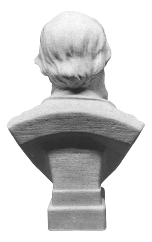Escultura Busto Charles Darwin - Biólogo - 15cm - Image 4
