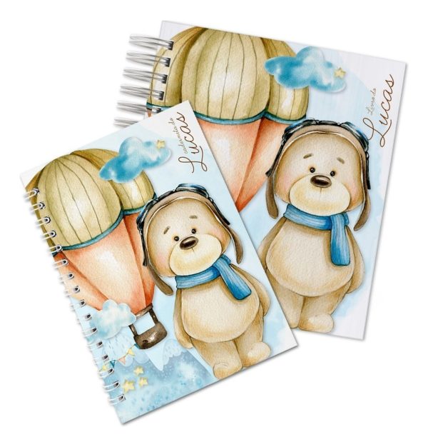 Caderneta De Vacinação E Livro Do Bebê Ursinho Baloeiro