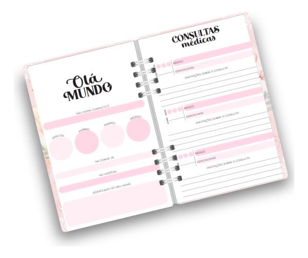 Caderneta De Vacinação Menina Personalizada Capa Dura - Image 2