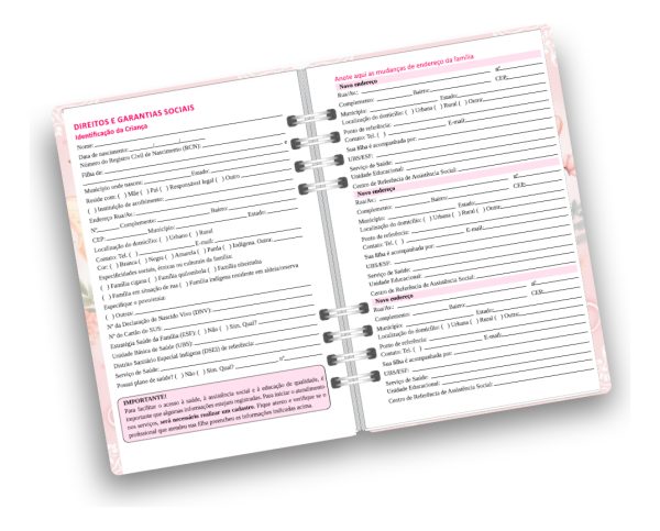 Caderneta De Vacinação Menina Personalizada Capa Dura - Image 7